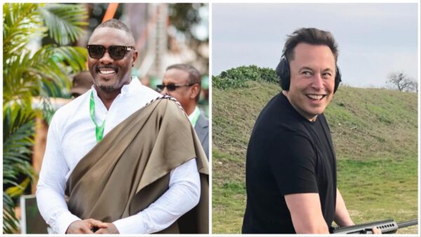 ‘Who Put the Son of the Apartheid Master on There?’: Outraged Fans Slam Outlet for Ranking Elon Musk Higher Than Idris Elba on ‘Influential Africans’ List