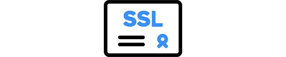 DV SSL (1-Site)